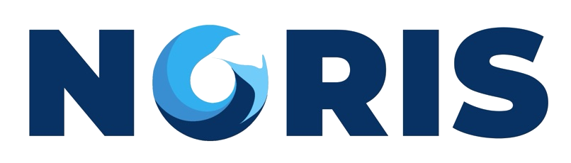 NORIS